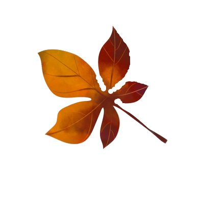 Flor